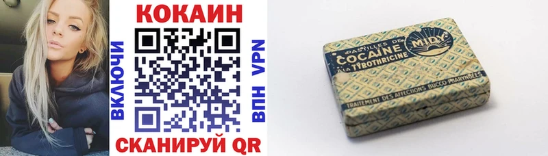купить закладку  Ядрин  Cocaine Эквадор 