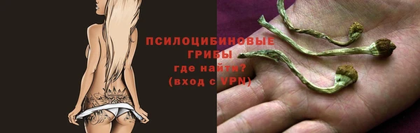 гидропоника Михайловка