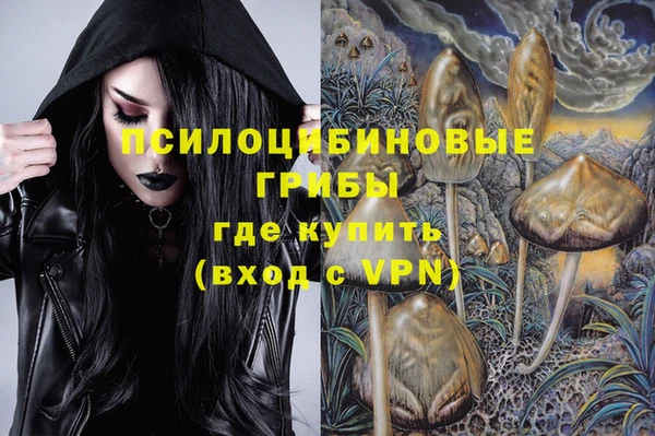 гидропоника Михайловка