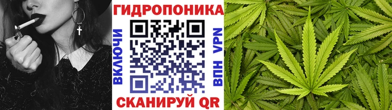 Марихуана конопля  Ядрин 